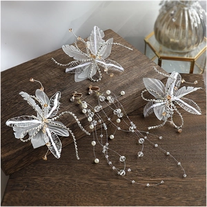 Elegante Witte Kant Bloem Bruids Hoofdtooi Met Lange Kwastje Kristal Neparel Oorclips Romantische Bruiloft Haaraccessoires Vrouwen