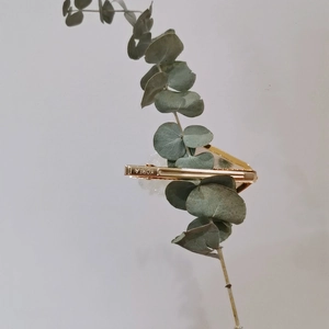Detail view of gold metal hair clip with Korea engraving on a eucalyptus leaf branch
