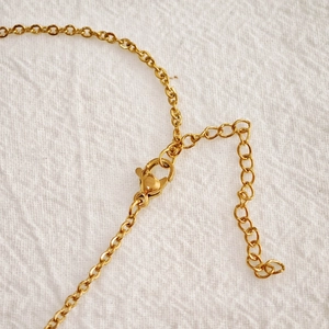 Macro shot of gold stainless steel lobster clasp and adjustable extension chain details