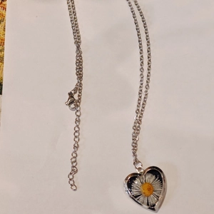 Handmade stainless steel heart locket necklace with real pressed dried daisy flower inside
