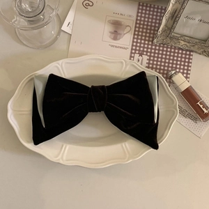 Detail of elegant brown velvet and grey satin layered bow on a white vintage plate