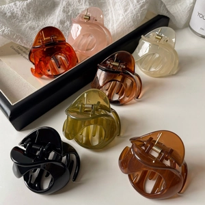 Vue détaillée de diverses pinces à cheveux aux couleurs gelée et finition brillante