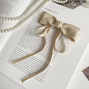 Détail d'un nœud papillon en satin champagne avec de longs rubans sur un livre