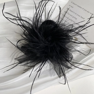Macro shot of elegant black feathers and mesh detail on a stylish shark hair claw