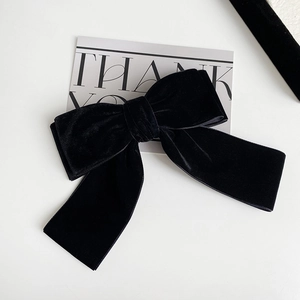 Barrette à cheveux élégante en velours noir style vintage français sur fond blanc pur