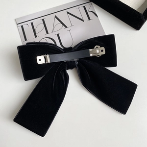 Barrette à cheveux élégante en velours noir avec fermoir métallique sur fond blanc