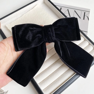 Détail d'un nœud papillon en velours noir de qualité supérieure au style français rétro