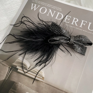 Macro detail of ostrich feather hair clip with black rhinestone bow on magazine background