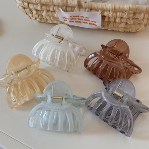Lot de cinq pinces à cheveux translucides aux tons pastels avec ressorts dorés