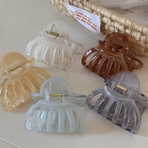 Lot de cinq pinces à cheveux translucides de couleurs variées sur fond blanc minimaliste
