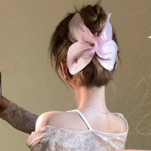 Pinza per Capelli a Farfalla Etera Francese in Rete Organza Strass Grande Fermaglio per Capelli da Donna Elegante Accessori Retro