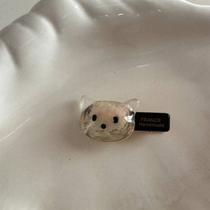 Détail d'accessoire de tête de chat en résine pailletée avec inscription faite main