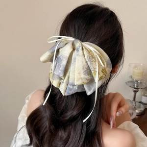 Pince à cheveux élégante avec nœud en ruban floral sur une queue de cheval