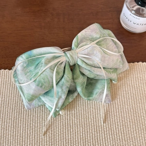 Détail d'une pince à cheveux en satin dégradé vert et violet avec perles élégantes