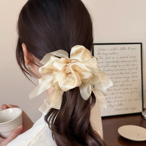 Champagne organza oversized bow hair tie worn on a elegant low ponytail hairstyle