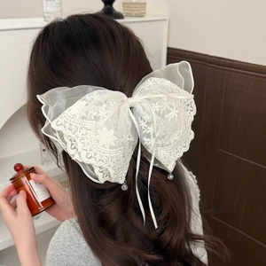 Eleganter großer weißer Spitzen-Haarclip mit Blumenstickerei und Strass-Anhängern