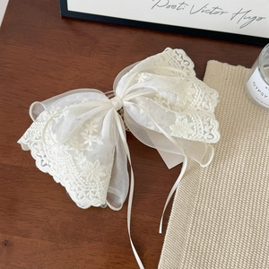 Nahaufnahme der eleganten cremefarbenen Spitzen-Haarspange mit floraler Stickerei-Textur
