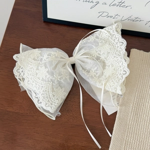 Detailansicht der cremefarbenen Haarklammer aus Spitze mit filigranem Blumenmuster-Stoff