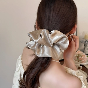 Eleganter champagnerfarbener Satin-Haargummi mit Seidenglanz in einer Dutt-Frisur