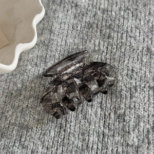 Détail de la dentelle sur la pince à cheveux noire translucide au style élégant