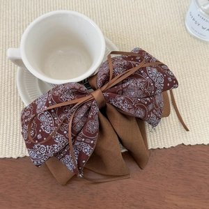 Detailed view of vintage paisley pattern bow hair clip with luxury fabric texture