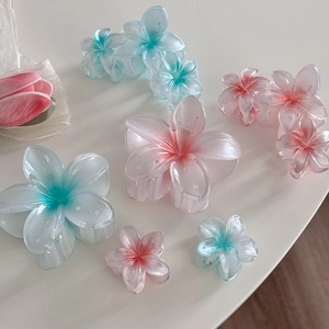 Détails de pinces à cheveux fleur dégradé rose et bleu en grandes et petites tailles