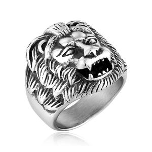 Detailed macro shot of vintage stainless steel lion head ring with oxidized black finish