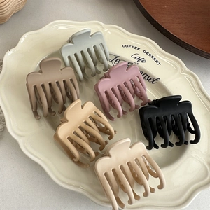 Set of 6 matte hair claws in muted colors displayed elegantly on a ceramic dessert plate