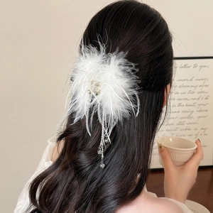 Détail d'une pince à cheveux en plumes blanches avec élégant long pompon en cristal clair