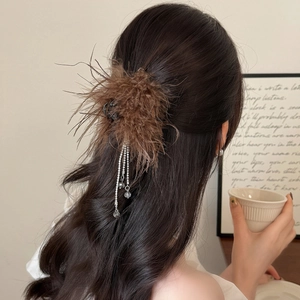 Pince à cheveux élégante en plumes brunes avec pampilles en strass argentés sur modèle