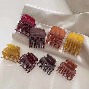 Pinces à cheveux élégantes en acétate aux tons chauds assortis pour accessoires femme