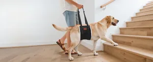 Dog support harness with soft fleece lining for elderly pets climbing stairs safely