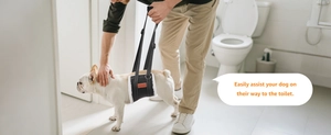 Detail of pet walking harness with padded fleece lining for elderly dog mobility support