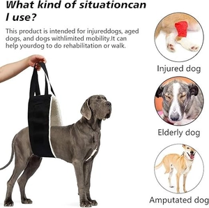 Close-up of dog support harness with soft fleece lining for injured or elderly pets