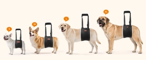 Detailed comparison of S to XL sizes showing adjustable support slings on different dog breeds