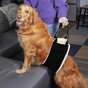 Close-up of durable dog lift harness with soft fleece lining and thick handle for mobility support