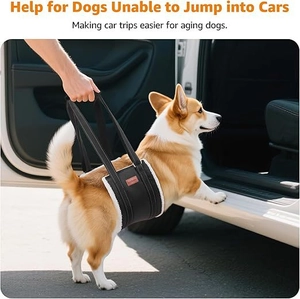 Dog lifting harness with plush lining helping an elderly Corgi get into a car easily