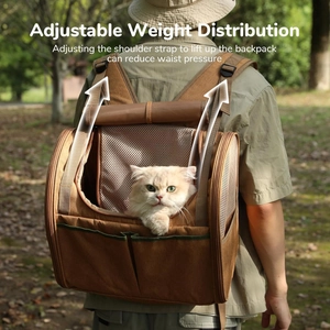 Coffee brown breathable pet backpack showing adjustable straps for weight distribution