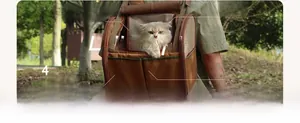 Close-up of brown canvas pet carrier featuring breathable mesh and secure internal leash