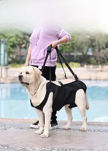Detail view of black full-body lifting harness for senior dogs with padded handle