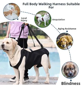 Detail of black nylon dog lift harness with adjustable buckles for senior pet mobility support