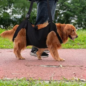 Adjustable black full body lift harness for senior dogs in outdoor park setting