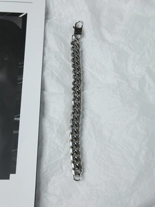 Detailansicht der 12mm silbernen Edelstahl-Panzerkette mit robustem Karabinerverschluss