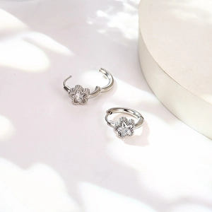 Dettaglio orecchini a stella in argento con zircone scintillante su base bianca