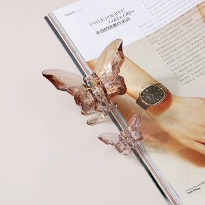 Vue détaillée de deux pinces à cheveux papillon ambrées sur un fond de magazine chic