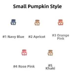 Detail view of mini pumpkin claw clips in five matte Morandi colors on white background
