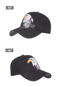 Detail view of the embroidered eagle and Native Pride text on a black cotton baseball cap
