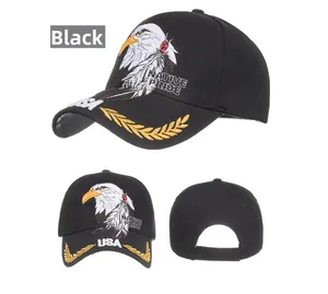 Dettaglio di cappellino nero con ricamo di aquila e foglie di alloro degli USA
