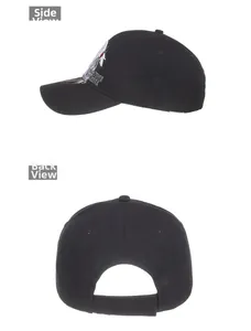 Detail view showing side and back of black cotton baseball cap with Native Pride embroidery