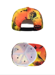 Detail of snapback closure and tropical palm tree print on a sunset gradient baseball cap
